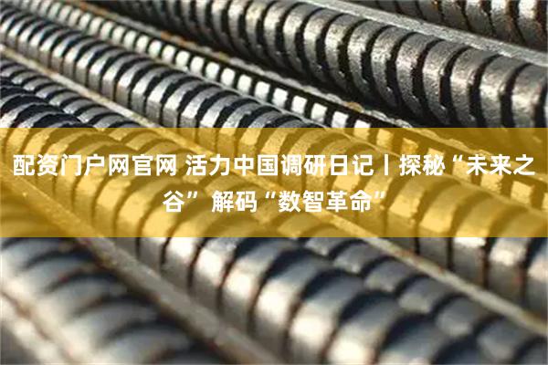 配资门户网官网 活力中国调研日记丨探秘“未来之谷” 解码“数智革命”