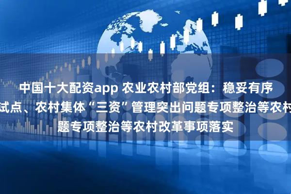 中国十大配资app 农业农村部党组：稳妥有序推进二轮延包试点、农村集体“三资”管理突出问题专项整治等农村改革事项落实